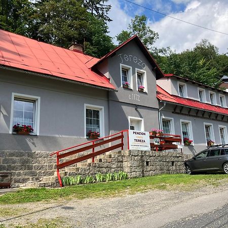 Chata Tereza Janov nad Nisou Exterior photo